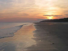 Coral Sands Resort in Hilton Head Island, South Carolina