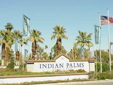 main banner