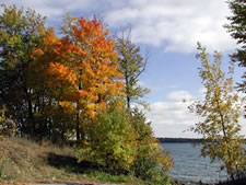 Lake Carlos Villas in Alexandria, Minnesota