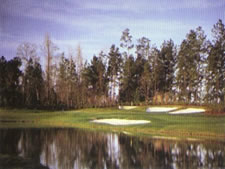 Royal Host Club at The Landing at Seven Coves in Willis, Texas