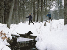 Shanty Creek Lodges in Bellaire, Michigan