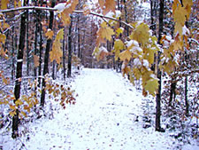 Telemark in Cable, Wisconsin