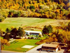 Wind in the Pines in Great Barrington, Massachusetts