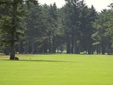 Windjammer Condominiums in Ocean Shores, Washington