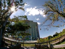 The Blue Heron Beach Resort in Orlando, Florida