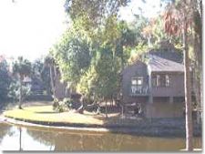 Night Heron Loft in Hilton Head Island, South Carolina