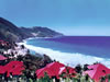 Renaissance St Croix Carambola Beach Resort and Spa